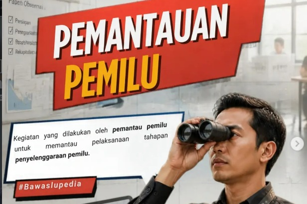 Apa itu Pemantau Pemilu ?